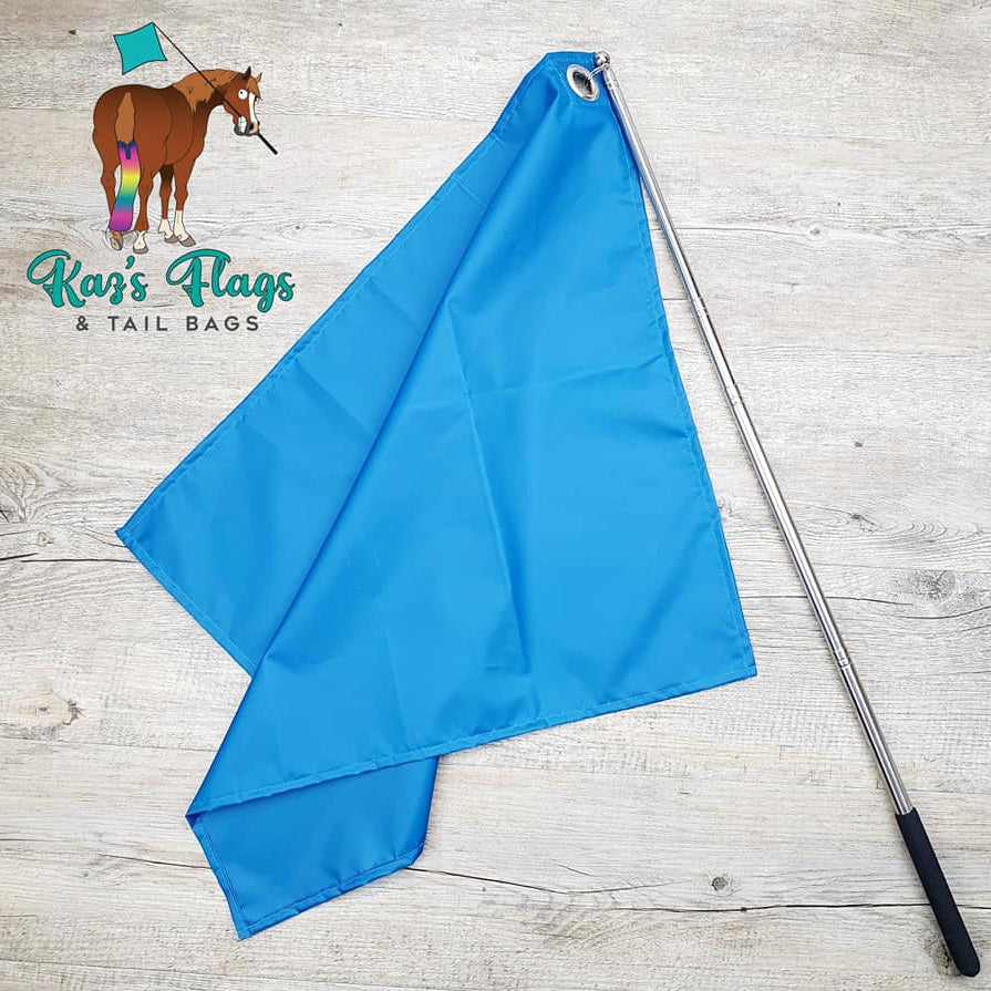 Horse training flag Pro Teal
