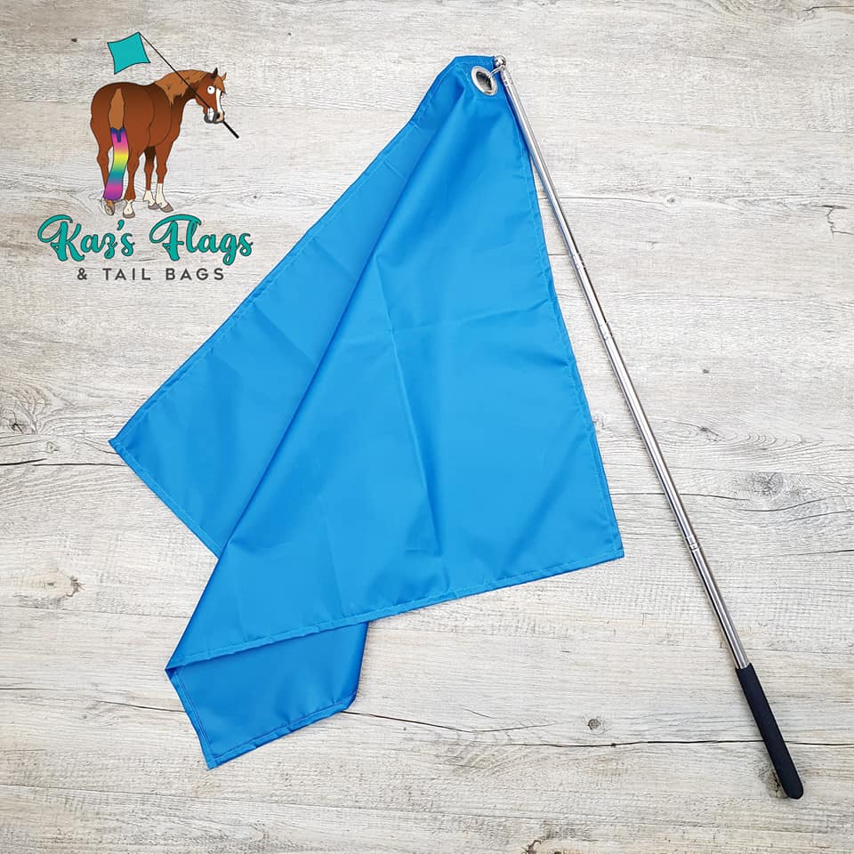 Horse training flag Pro Teal