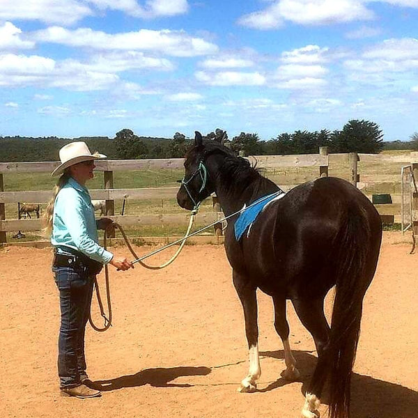 Horse training