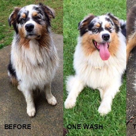 before and after with Bee Kind soap