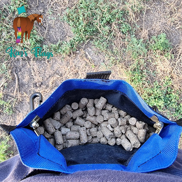 Horse treat pouch with pellets