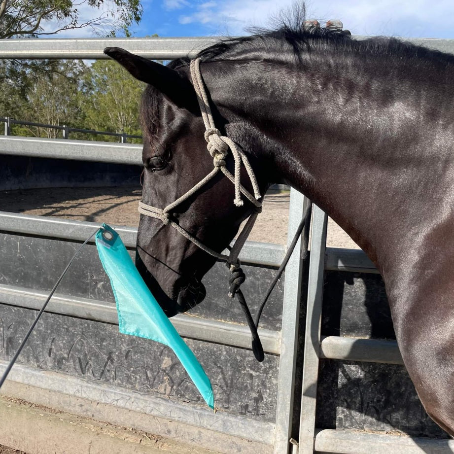 Horse with flag