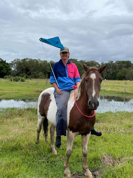 Horse riding with flag