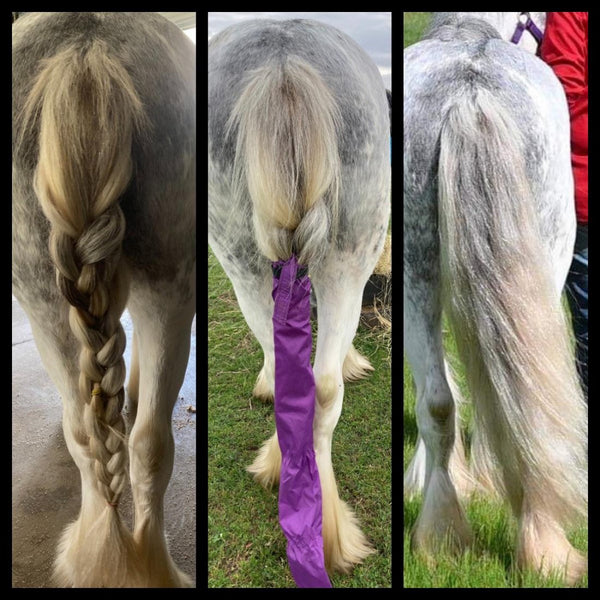 Tail Bags and plaited tails